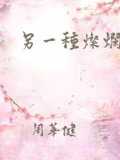 另一种灿烂生活