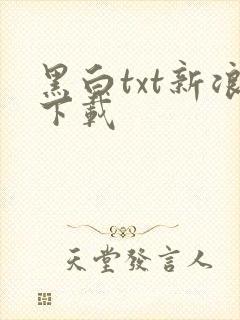 黑白txt新浪下载