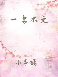 一名不文