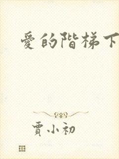 爱的阶梯下载