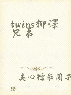 twins柳泽兄弟