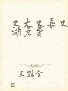 又大又长又租高湖免费