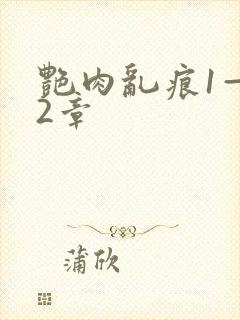 艳肉乱痕1—12章