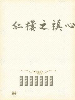 红楼之禛心锁玉