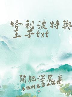 哈利波特与混血王子txt