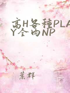 高H各种PLAY全肉NP