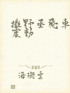 撒野丞飞车道具震动