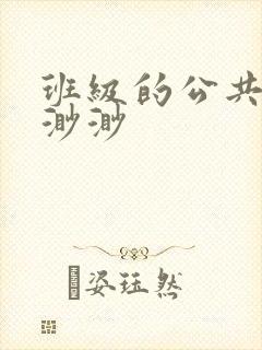 班级的公共玩具渺渺