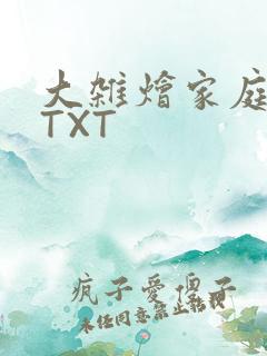 大杂烩家庭小说TXT