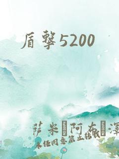 盾击5200