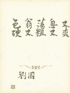 色翁荡息又大又硬又粗又爽