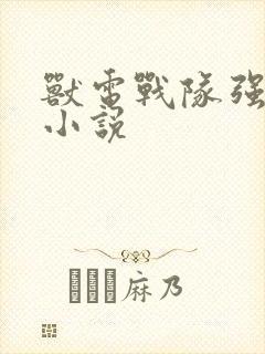 兽电战队强龙者小说