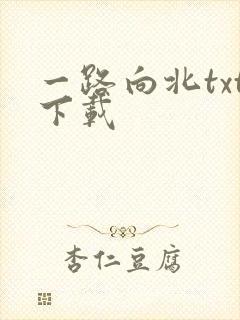 一路向北txt下载