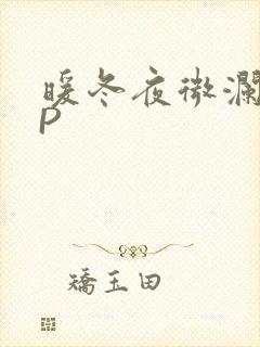 暖冬夜微澜VIP