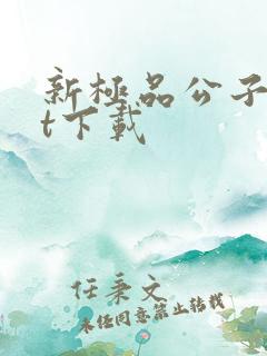 新极品公子txt下载