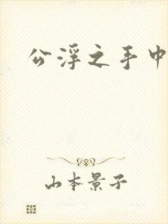 公浮之手中字5