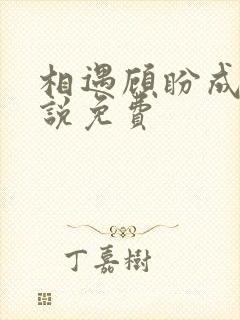 相遇顾盼成欢小说免费