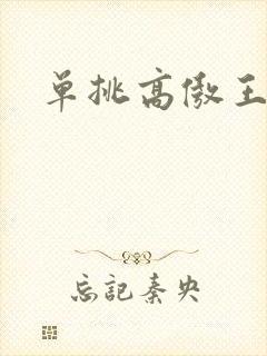 单挑高傲王子
