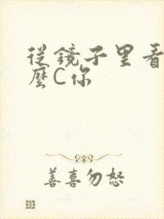 从镜子里看我怎么C你