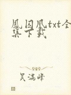 凤囚凰txt全集下载