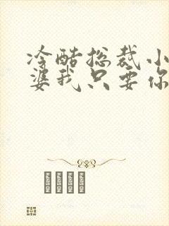 冷酷总裁小小老婆我只要你