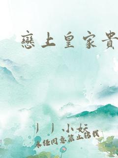 恋上皇家贵公主