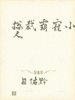 总裁霸宠小小女人