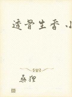透骨生香 小说