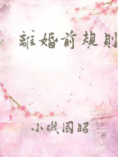 离婚前规则歌曲