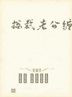 总裁老公缠上门