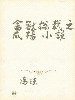 禽兽总裁之虐爱成殇 小说