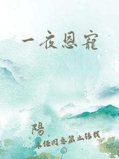 一夜恩宠