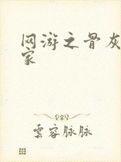 网游之骨灰级玩家