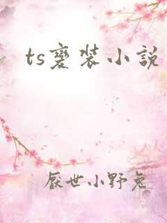 ts变装小说