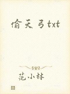 偷天弓txt