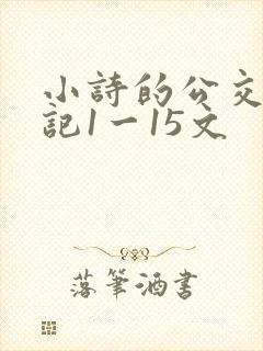 小诗的公交车日记1一15文