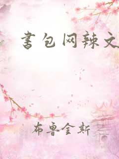 书包网辣文