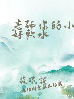 老师你的小兔子好软水