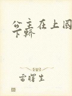 公主在上国师请下轿