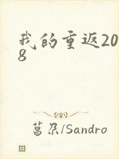 我的重返2008
