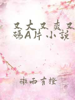 又大又爽又黄无码A片小说