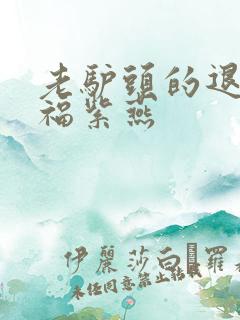 老驴头的退休幸福紫燕