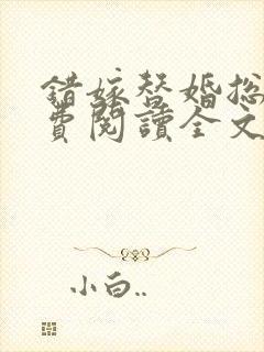 错嫁替婚总裁免费阅读全文