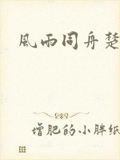 风雨同舟楚秋