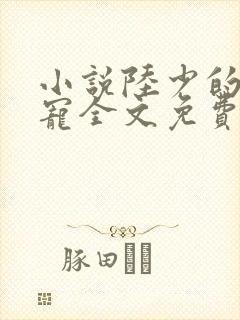 小说陆少的心尖宠全文免费阅读