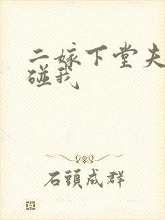 二嫁下堂夫君别碰我