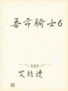 吾命骑士6
