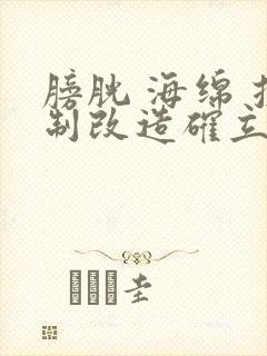 膀胱 海绵 控制改造确立m