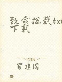 致命总裁txt下载