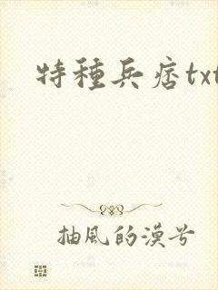 特种兵痞txt